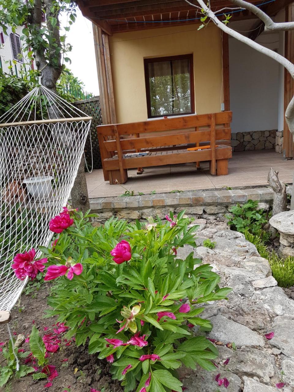 Hotel Casa Nikita Vama Veche Exterior foto