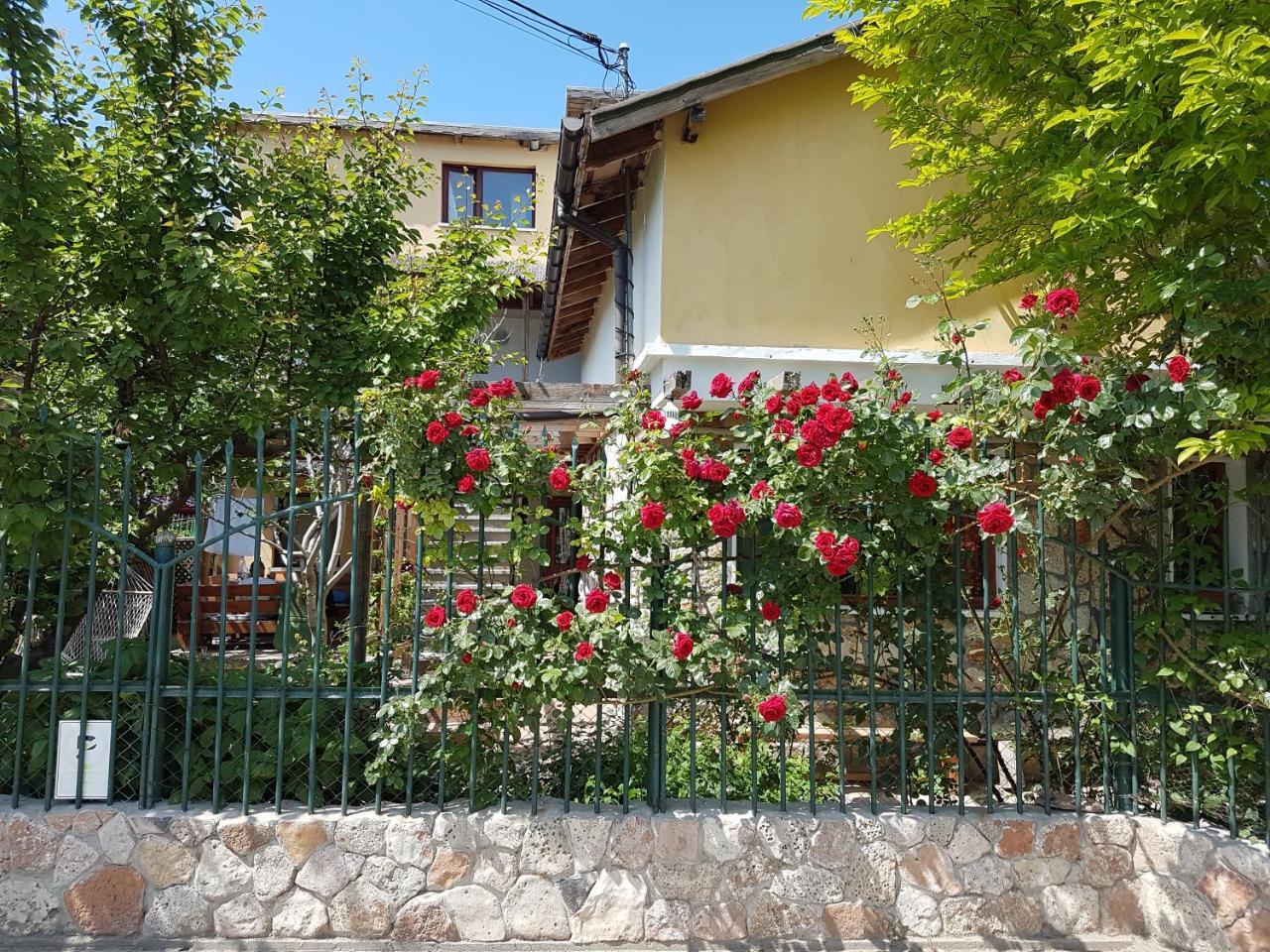 Hotel Casa Nikita Vama Veche Exterior foto